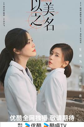 以美之名 海报