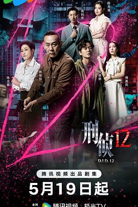 刑侦12 海报