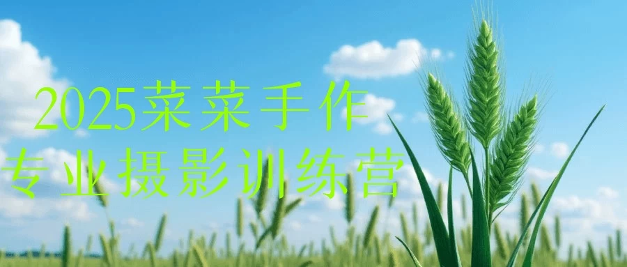 2025菜菜手作专业摄影训练营【1.2GB/MP4】-kk小站