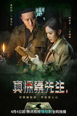 真探秦先生 海报