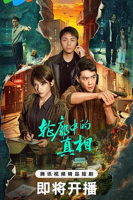 轮廓中的真相 (2025)【24集/2.6G】1080p 国语中字-kk小站