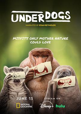 【纪录片】废柴英雄[2025][全5集][1080P][内嵌中英字幕][6.7GB]-kk小站