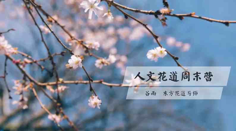谷雨老师《人文花道美学营》插花教程【2.2GB/MP4】-kk小站