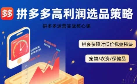 久号老师·拼多多选品暴利技术实战课,拼多多高利润选品策略,拼多多限时低价标签秘诀【2.3GB/MP4】-kk小站