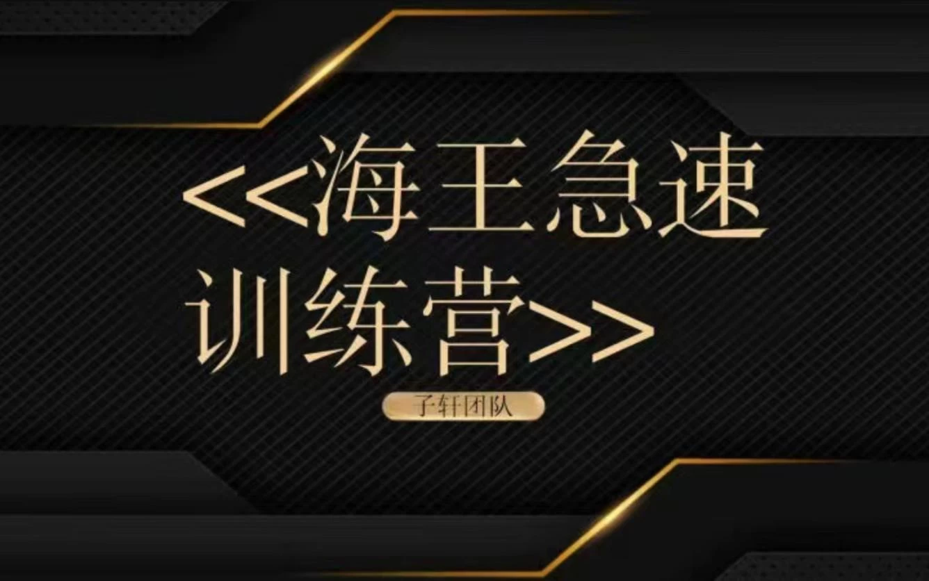子轩团队《海王急速训练营》【1.3GB/MP4】-kk小站