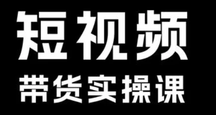 短视频带货系统课【11.8GB/MP4】-kk小站