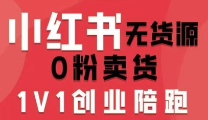 爱野佩佩小红书无货源0粉电商课，开店准备、选品策略、笔记撰写、视频剪辑、数据分析、账号打造、资料文档【3.8GB/MP4】-kk小站