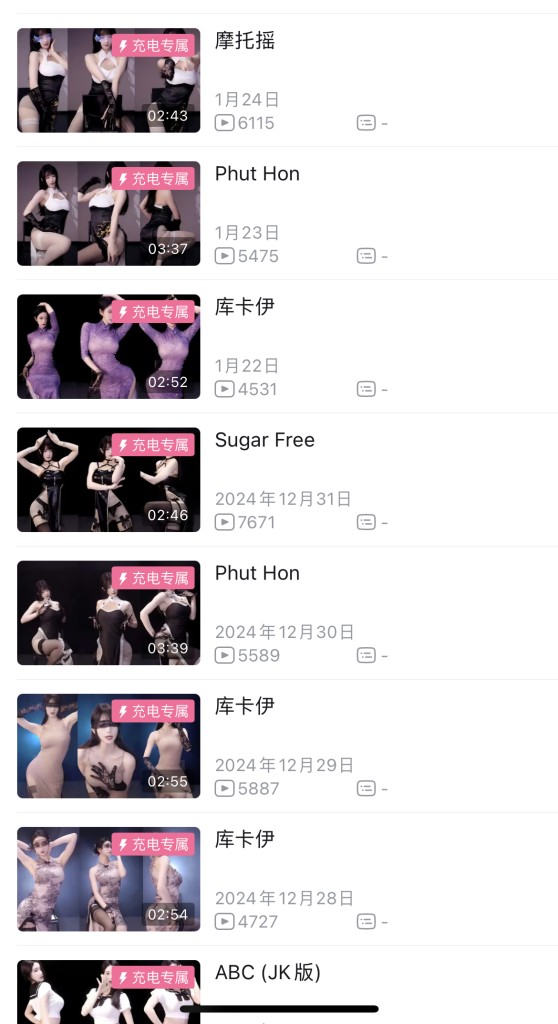 b站 舞蹈区擦边up主 爱舞蹈的小七 充电专属视频合集 共 10.6G-kk小站