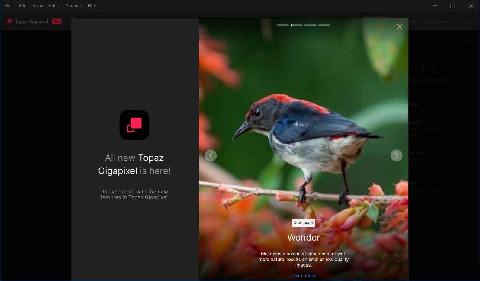 【PC】Topaz Gigapixel图像放大软件 v1.1.0 破解版-kk小站