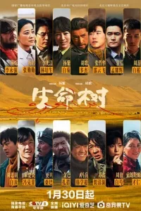 《生命树》（2026） 4K HDR 超高清【内置官方中文字幕】1.5G/集【杨紫/胡歌/李光洁】-kk小站
